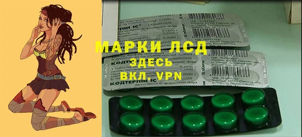 гашик Абинск